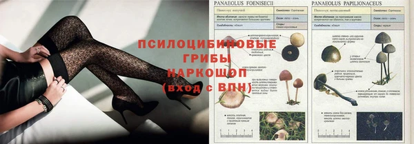 2c-b Белокуриха