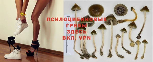 прущие крисы Зеленокумск