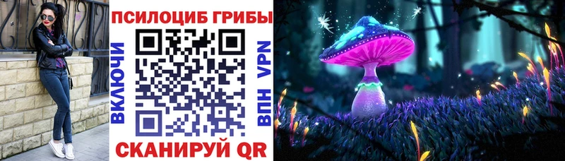 ОМГ ОМГ tor  Тосно  Галлюциногенные грибы мицелий  купить  